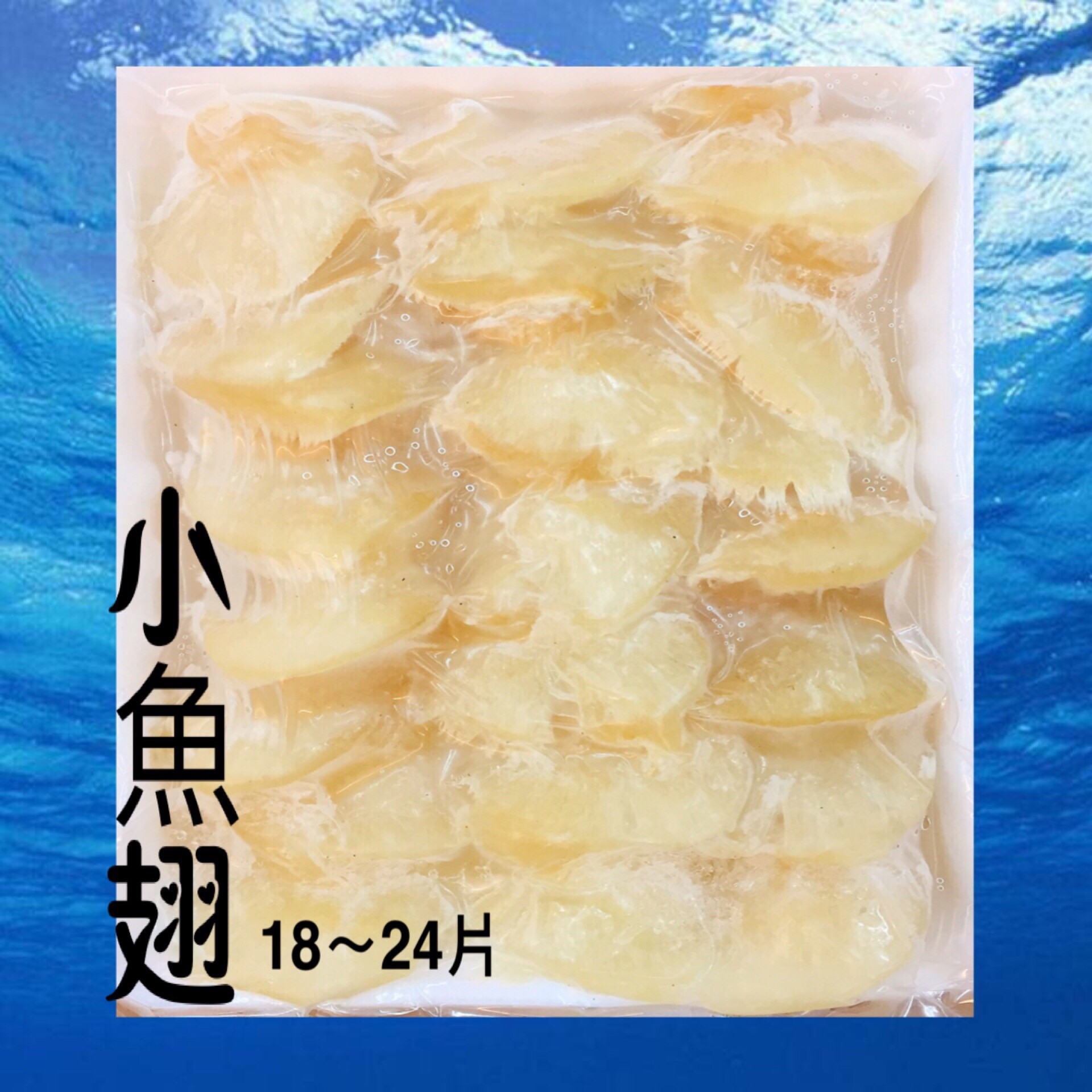 【冷凍魚翅】600克/18-24片裝/佛跳牆.雞湯.菜魯.高貴食材
